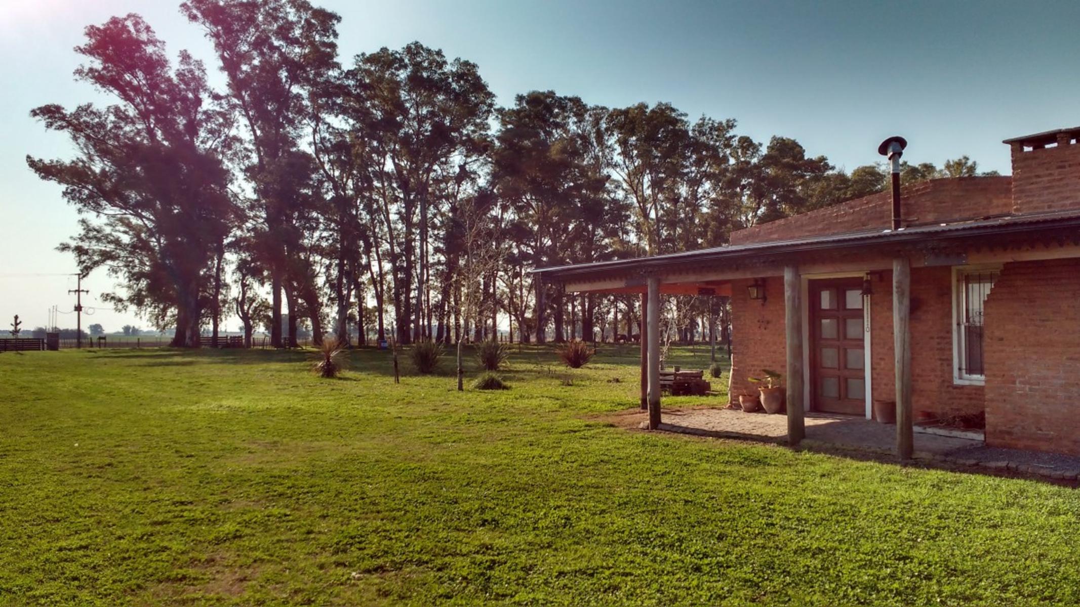 Campo en San Andres de Giles — foto 7