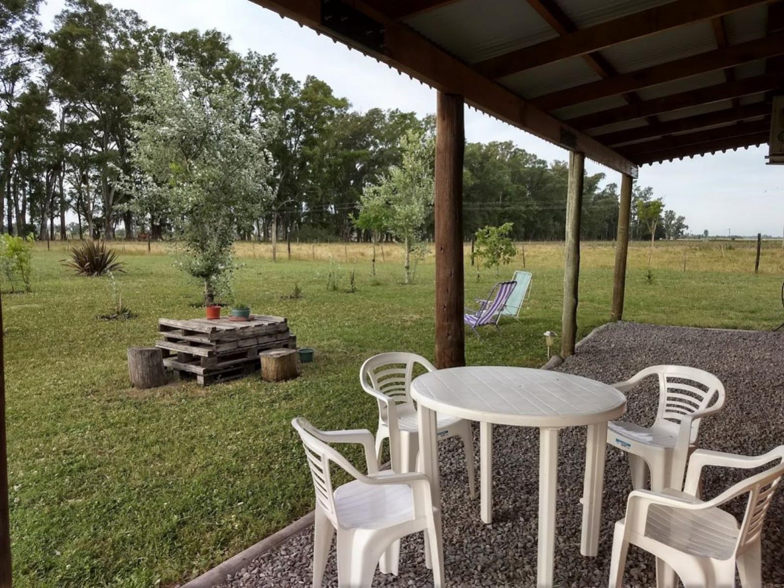 Campo en San Andres de Giles — foto 11