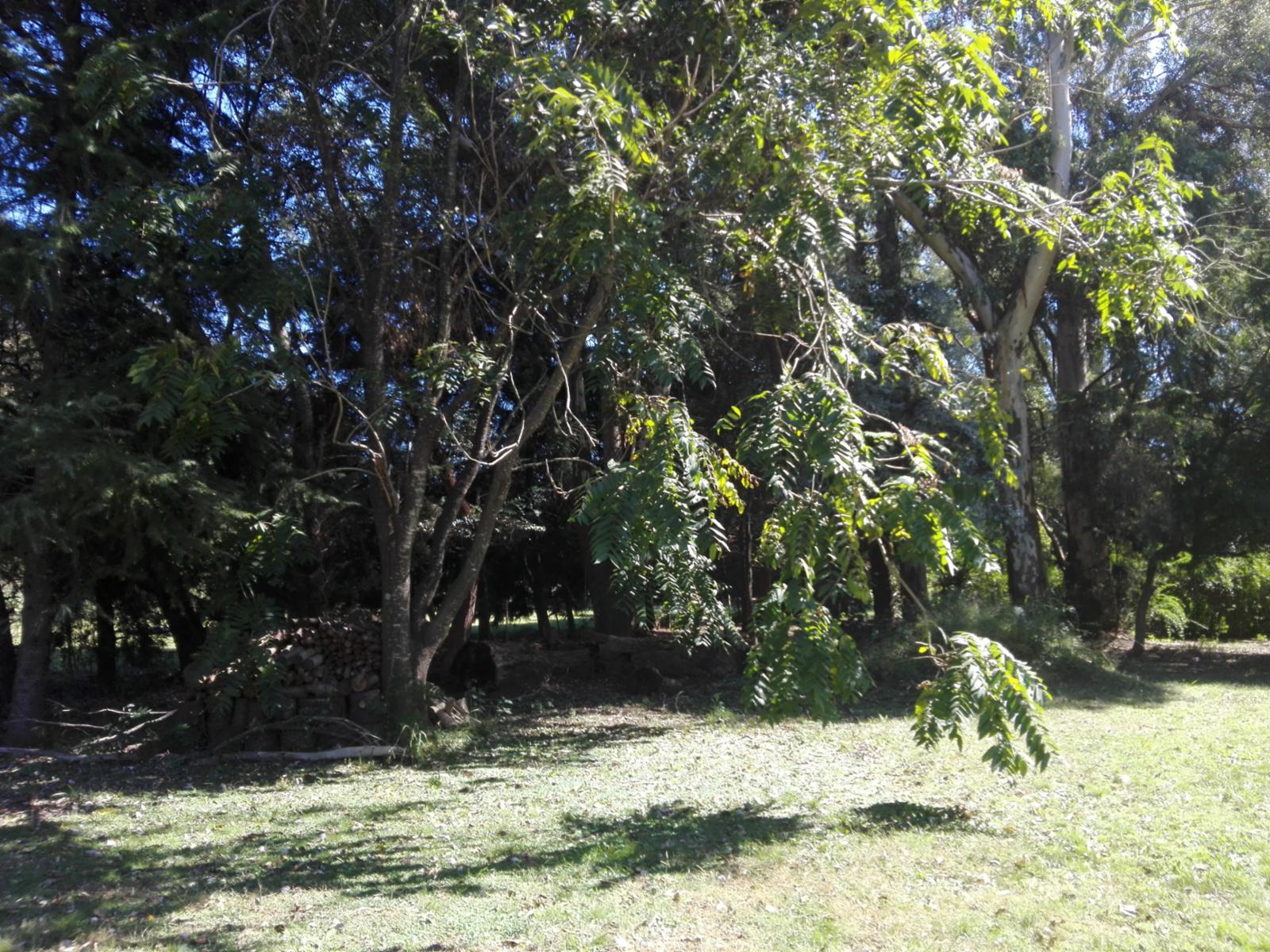 Casa en Venta en Parque Jularó — foto 8