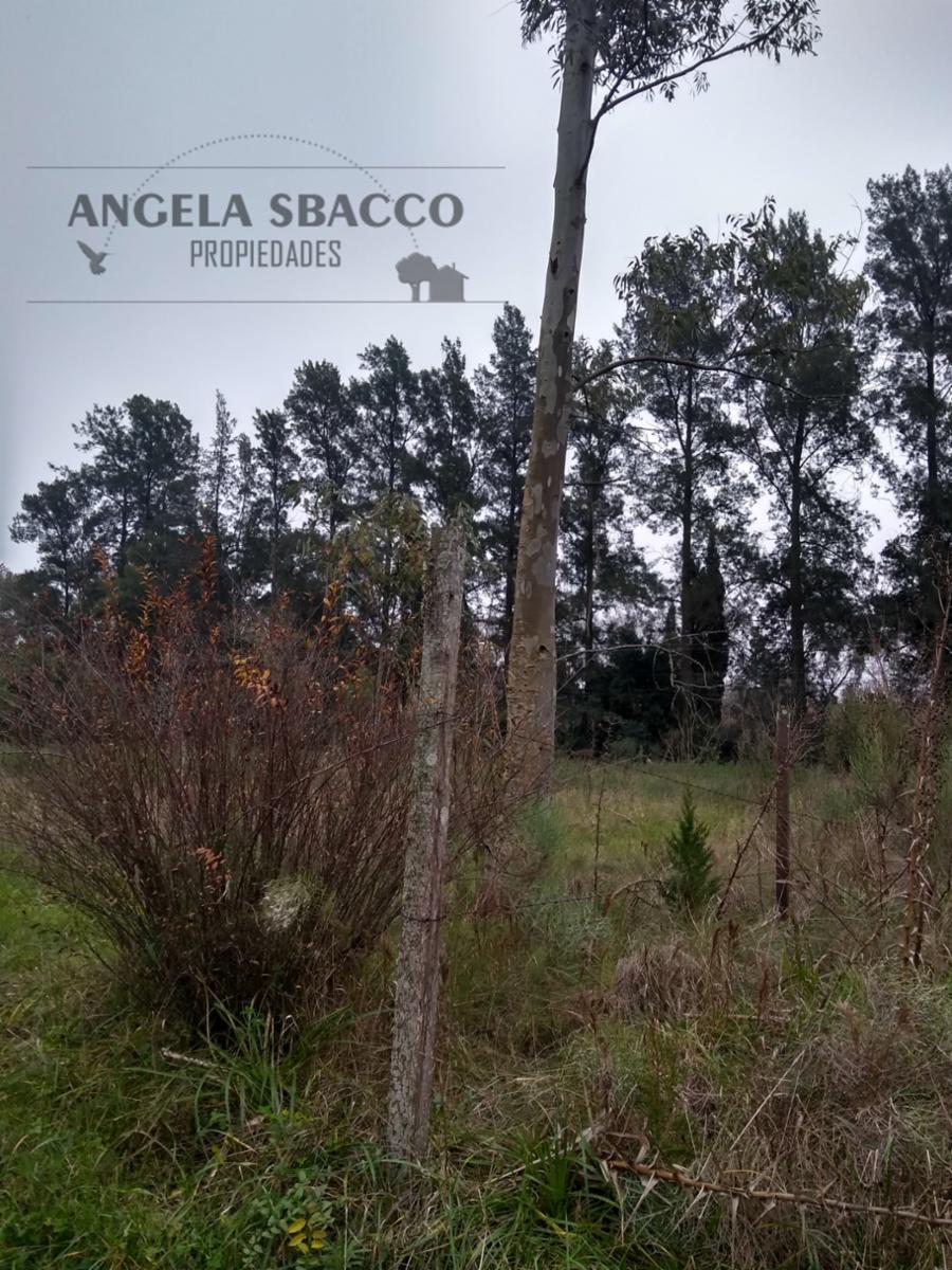 Terreno en venta en El Remanso — foto 3