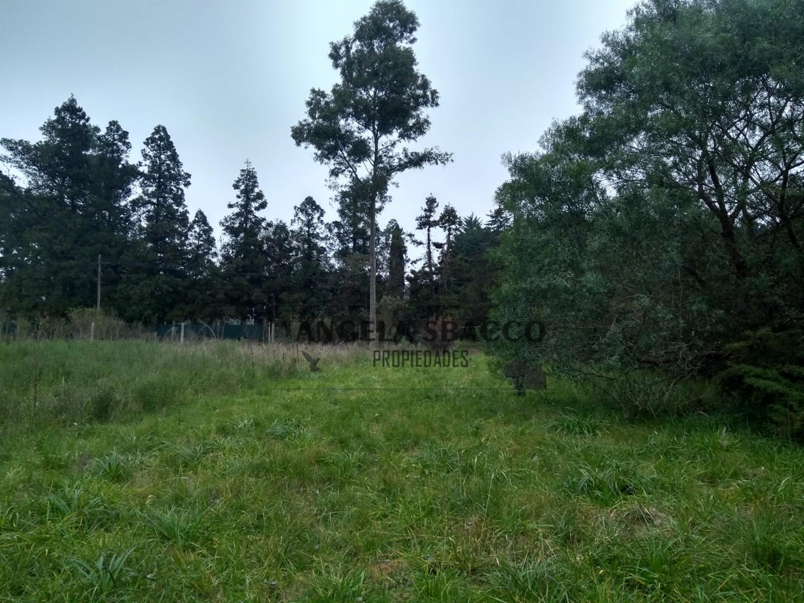 Terreno en venta en El Remanso — foto 4