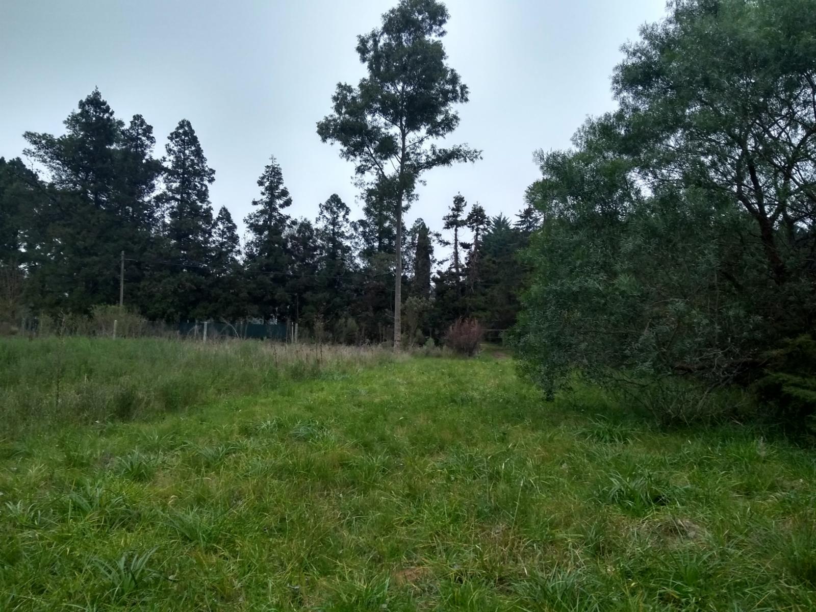 Terreno en venta en El Remanso — foto 5
