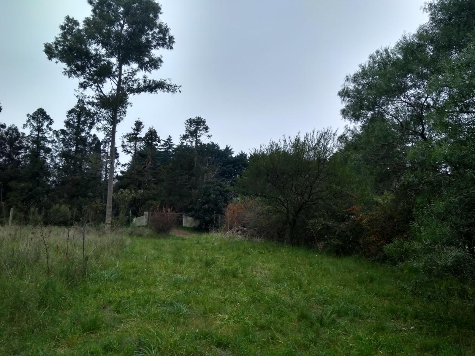 Terreno en venta en El Remanso — foto 6