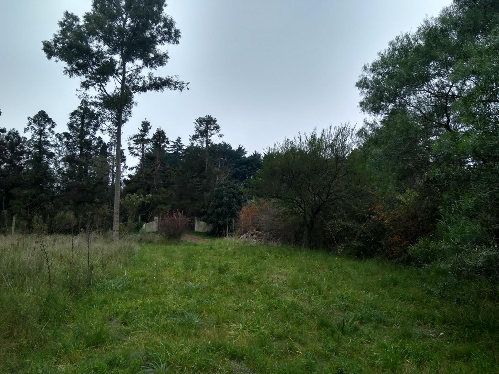 Terreno en venta en El Remanso — foto 7