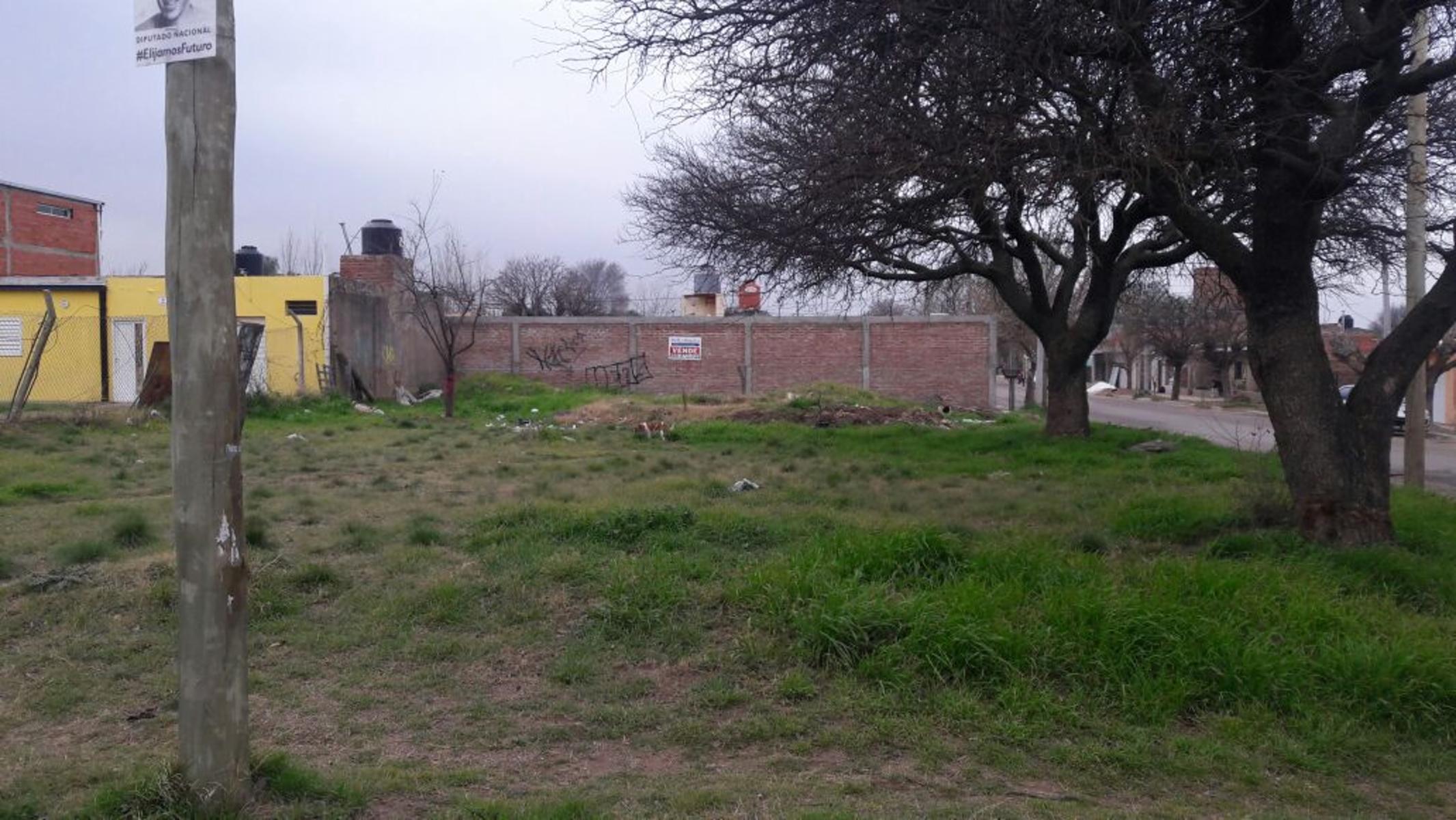 TERRENO EN VILLA TOMAS MASSON NORTE - 1