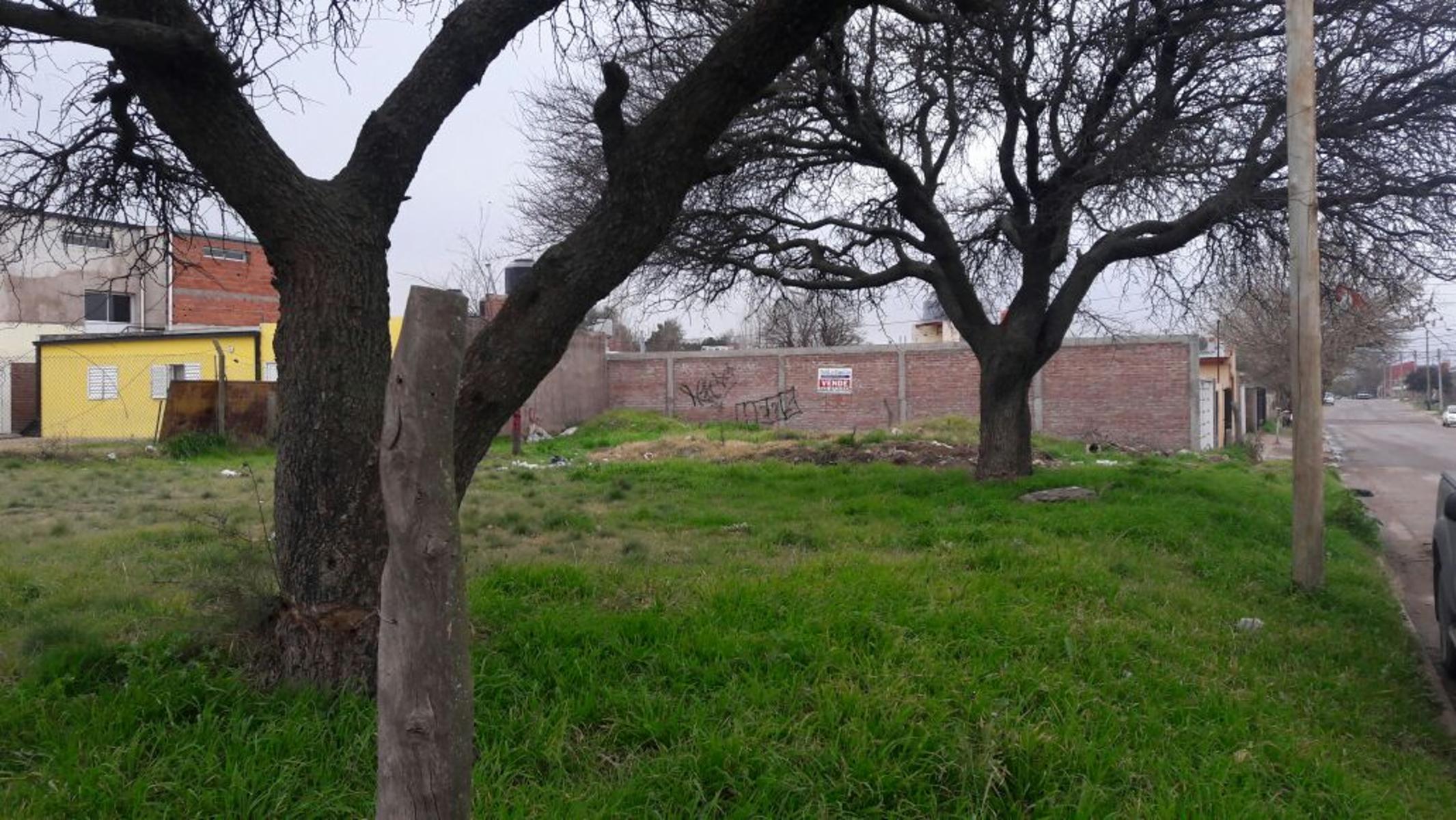 TERRENO EN VILLA TOMAS MASSON NORTE - 2