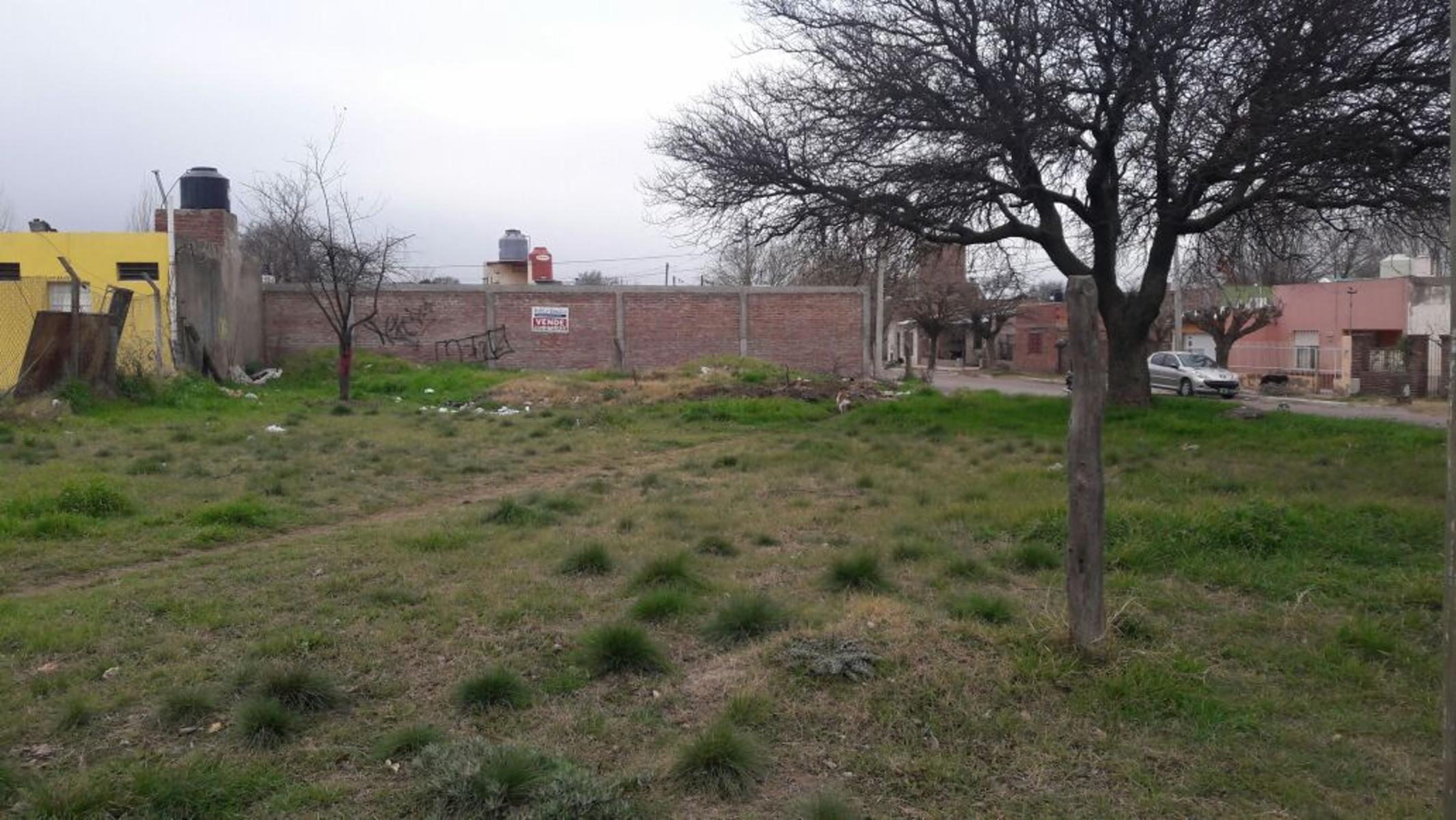 TERRENO EN VILLA TOMAS MASSON NORTE - 3