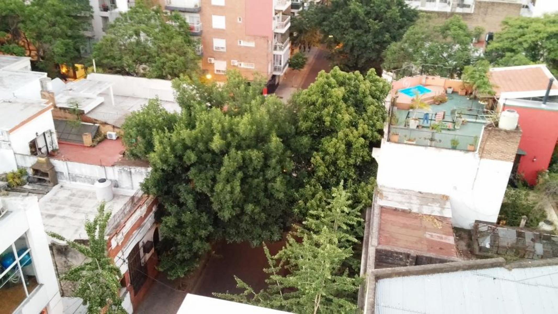 DPTO. UN DORMITORIO EN EXCELENTE ZONA — foto 12