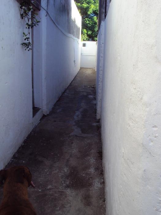 Casa en Venta en Rosario, Rosario, Santa Fé "ALQUILADA" — foto 2