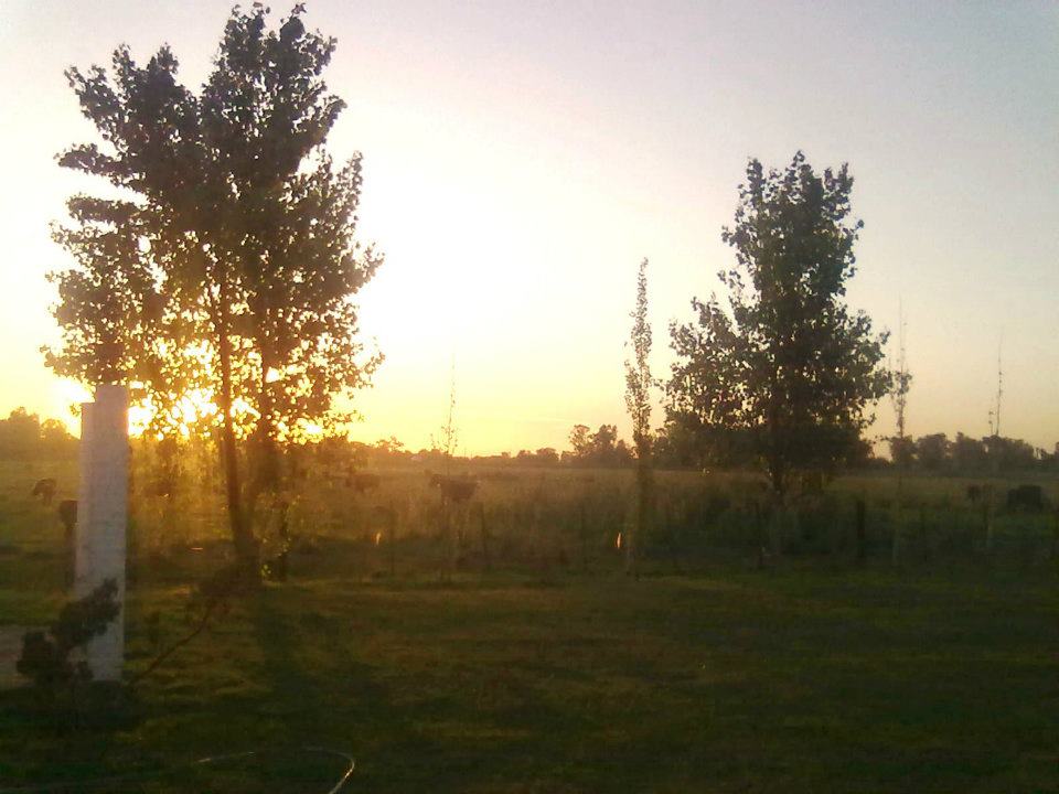 HERMOSO PREDIO EN LUIS PALACIOS !!!!! - 6