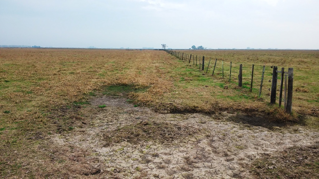 CAMPO 25 Ha EN LUIS PALACIOS 100% AGRÍCOLA - 2