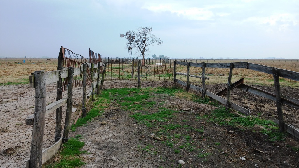 CAMPO 25 Ha EN LUIS PALACIOS 100% AGRÍCOLA - 5