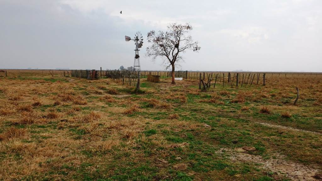 CAMPO 25 Ha EN LUIS PALACIOS 100% AGRÍCOLA - 6