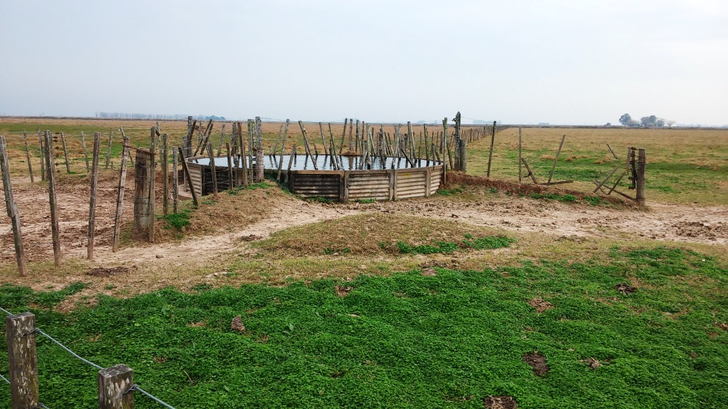 CAMPO 25 Ha EN LUIS PALACIOS 100% AGRÍCOLA - 7