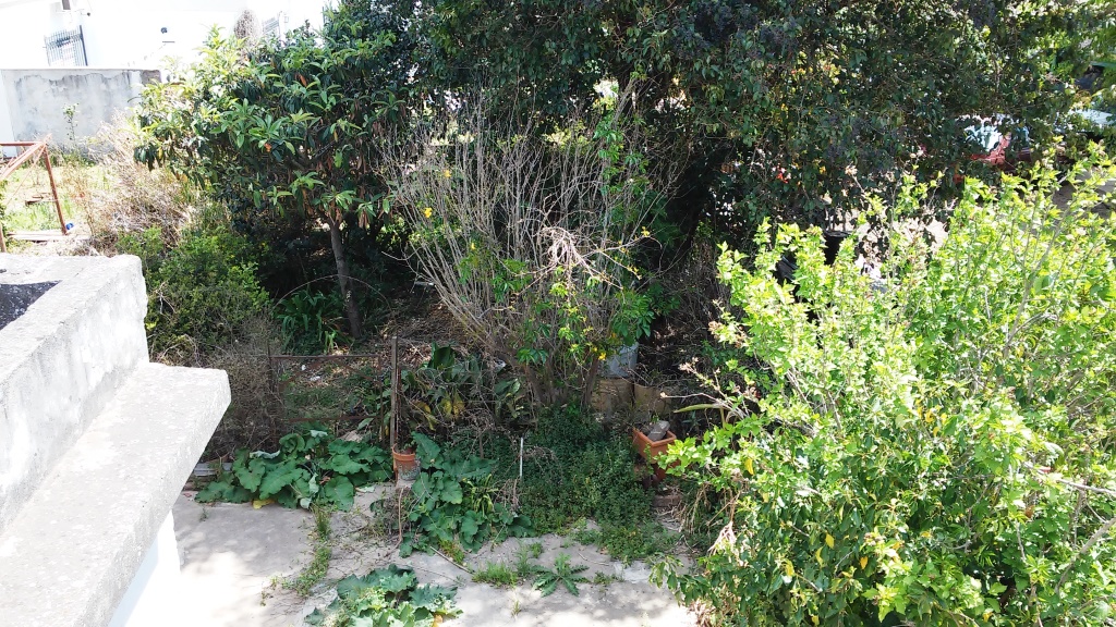 CASA A RECICLAR EN PAVÓN ARRIBA — foto 3
