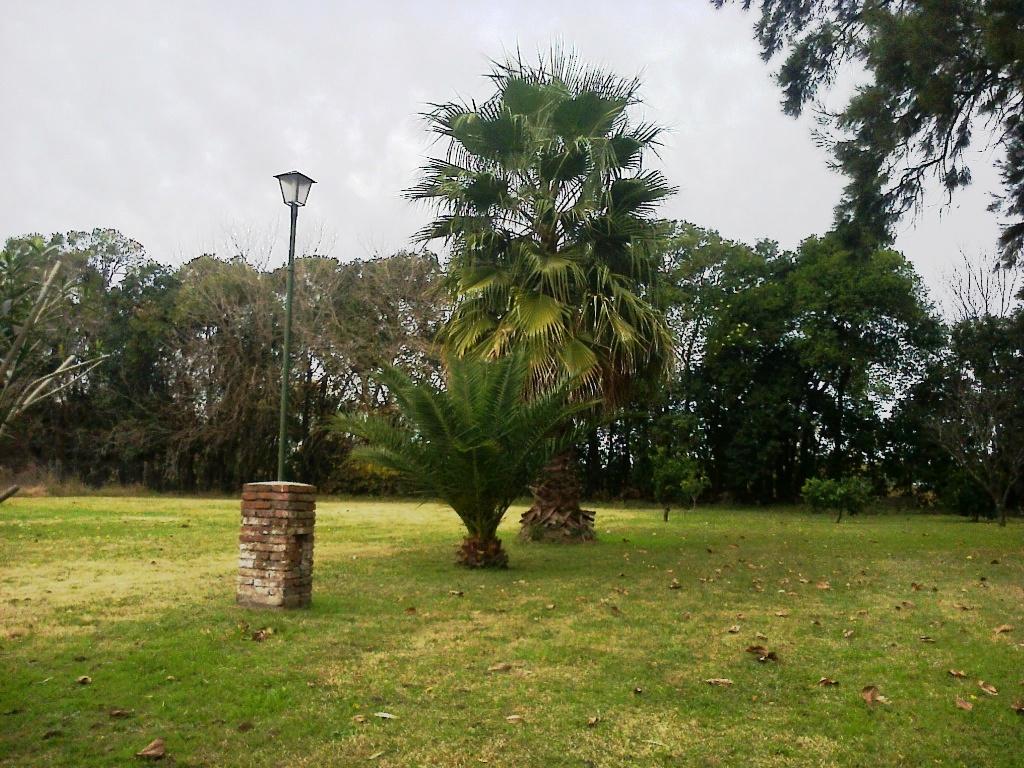 EXTRAORDINARIOS LOTES EN LA CAROLINA — foto 3