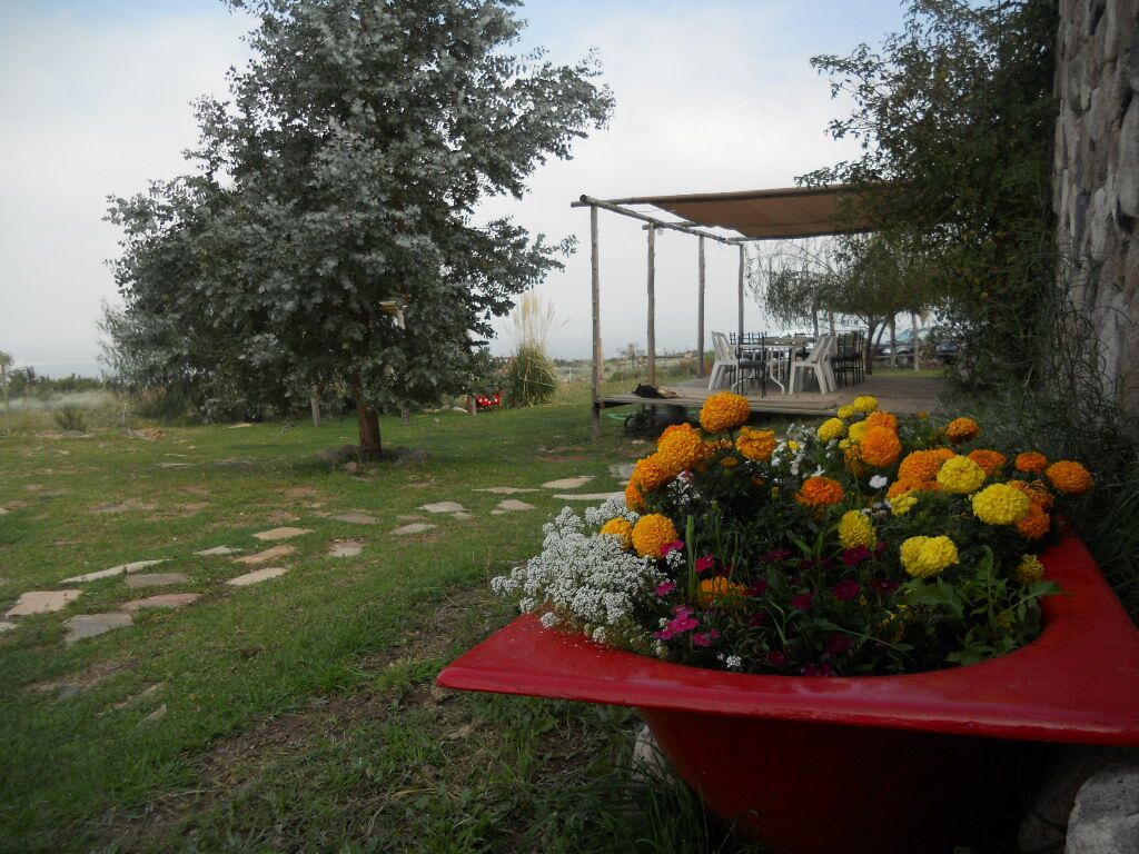 Hostería Ecológica dentro de un terreno de 6300 m2. Esta hostería a sido galardonada por su cuidado del medio ambiente, ya que se abastece con energías alternativas, como ser la eólica y la solar. - 25