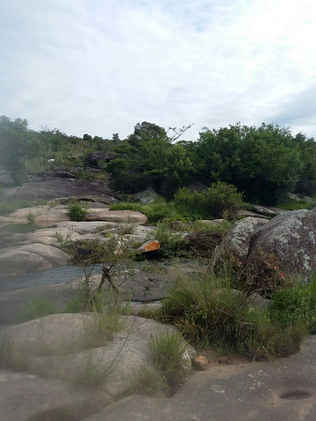 Nºref: 619 -TERRENO EN SIQUIMAN EN EXCELENTE ENTORNO. VISTA PANORAMICA — foto 4