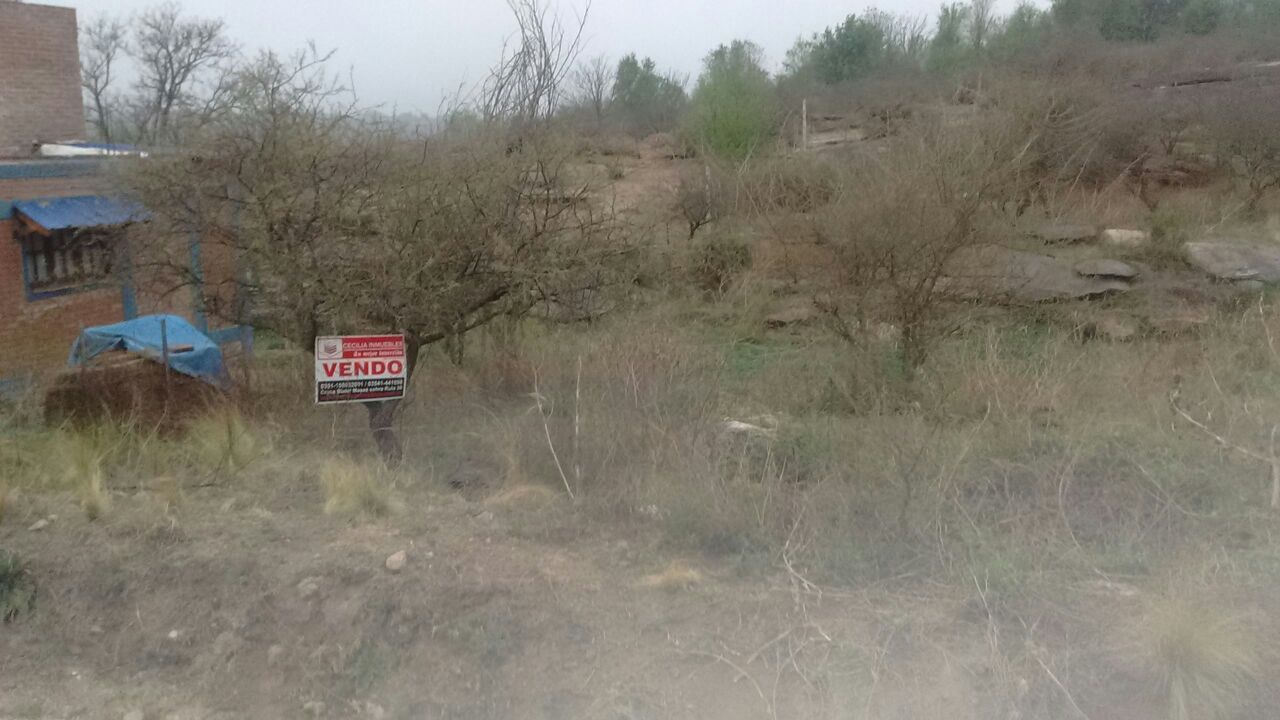 Nºref: 713 HERMOSO TERRENO EN SIQUIMAN CON VISTA A LAS ALTAS CUMBRES — foto 7