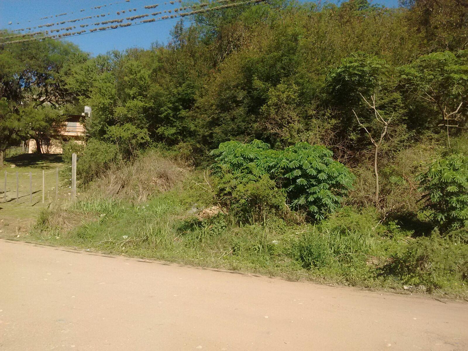 Nºref: 567 -TERRENO EN BIALET MASSE A 6 CUADRAS APROX DE RTA E55 C/VISTA A LAS SIERRAS — foto 7