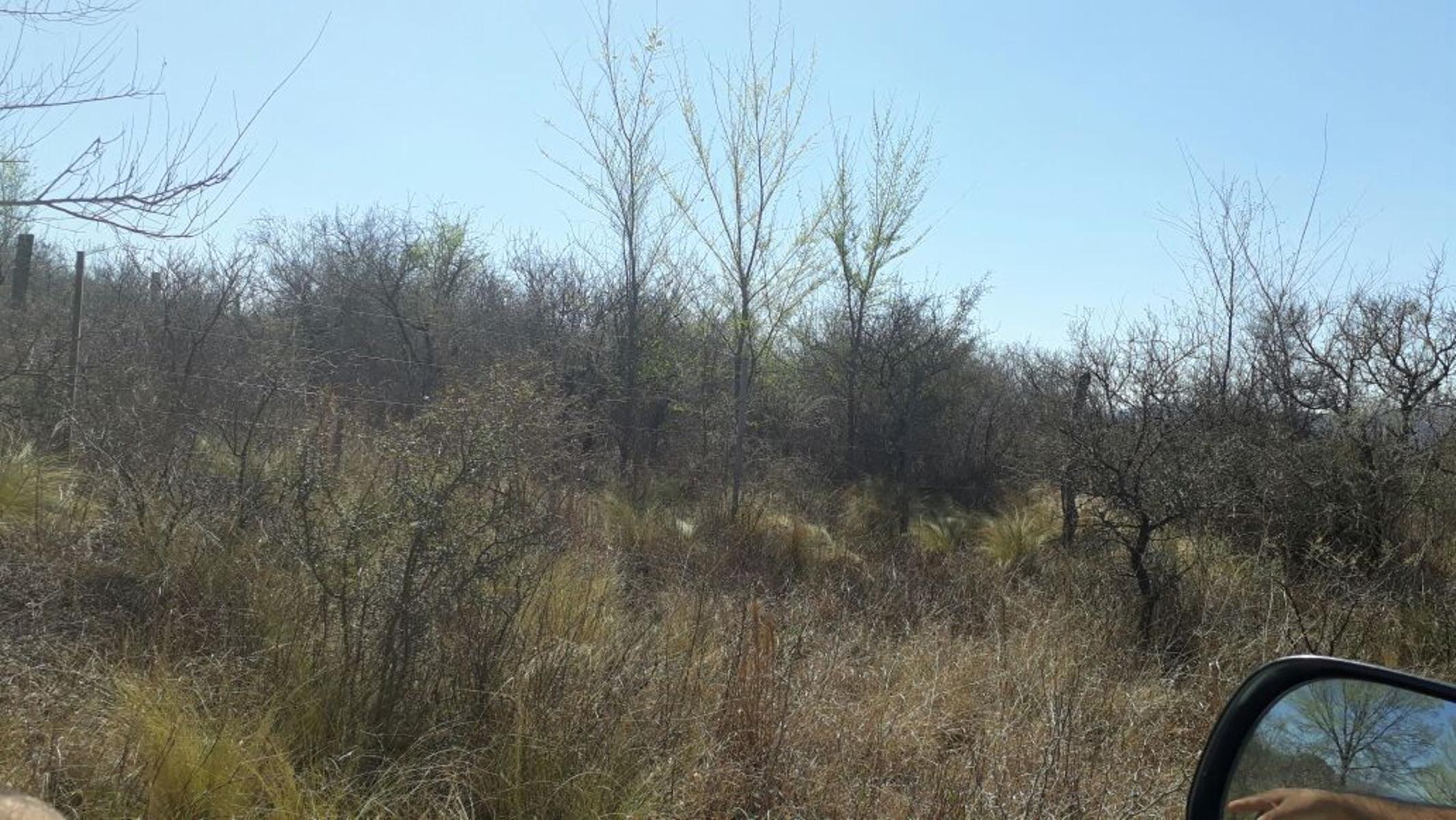 Nºref: 833 -Hermoso terreno en Bialet Masse a 4km aprox de R-38 C/ Hermosa Vista las Sierras — foto 2