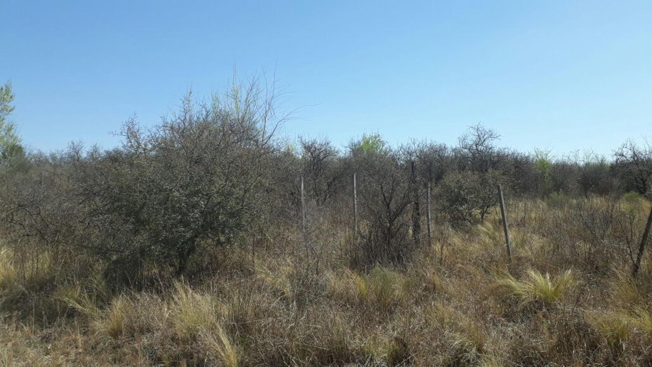 Nºref: 833 -Hermoso terreno en Bialet Masse a 4km aprox de R-38 C/ Hermosa Vista las Sierras — foto 7