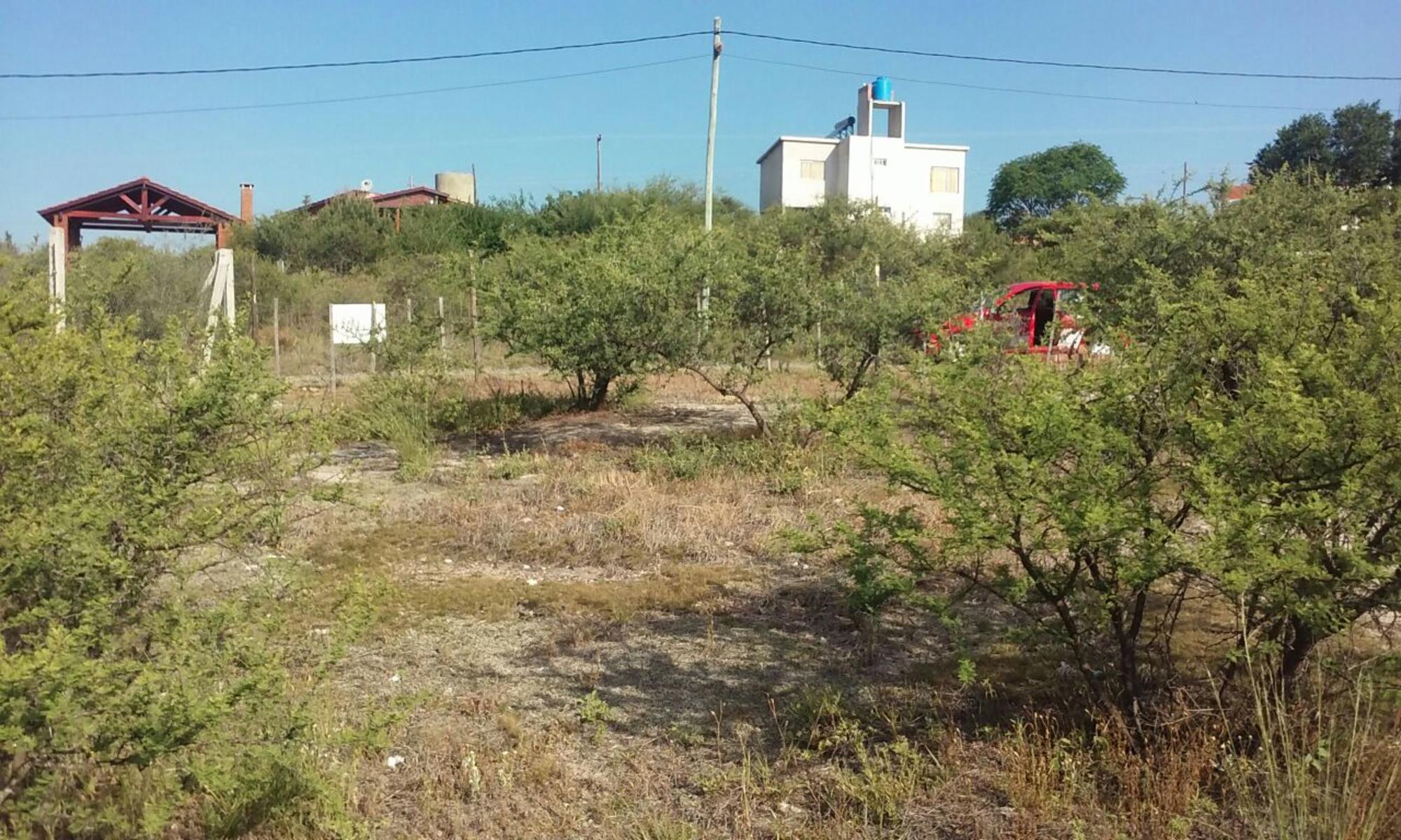Nºref: 877 Terreno en venta Parque Siquiman a 300 mtrs aprox del Rio Mallín — foto 6