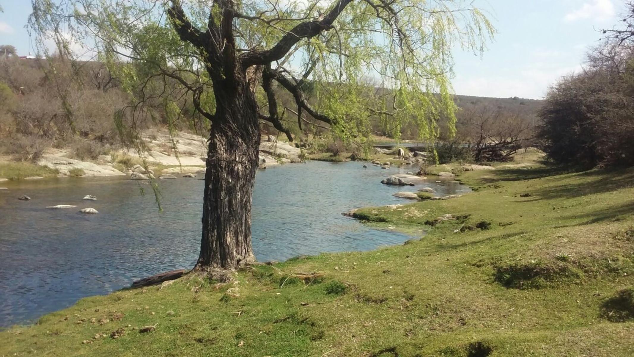 Nºref: 26 -CABAÑA DE TRONCO SOBRE AV. PRINC DE Bº MIRADOR DEL LAGO BIALET MASSE