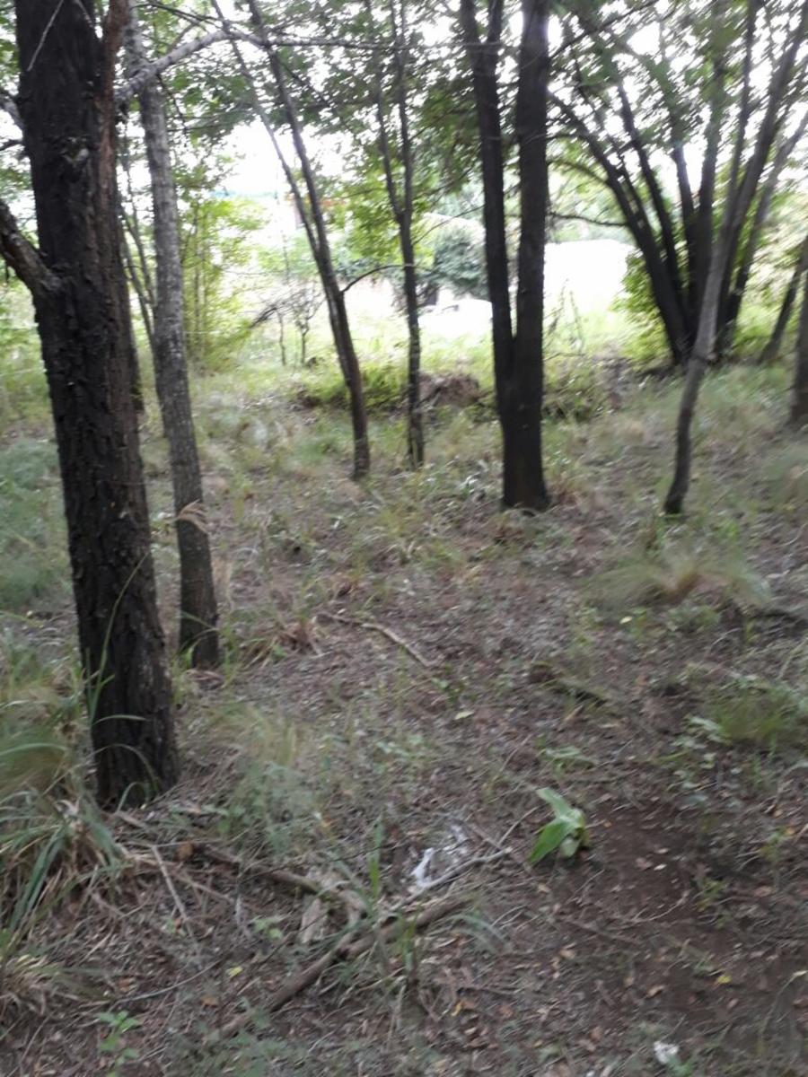 Nºref: 919 -TERRENO PLANO A 200 MTRS AROX DE R-38 BIALET MASSE PUNILLA