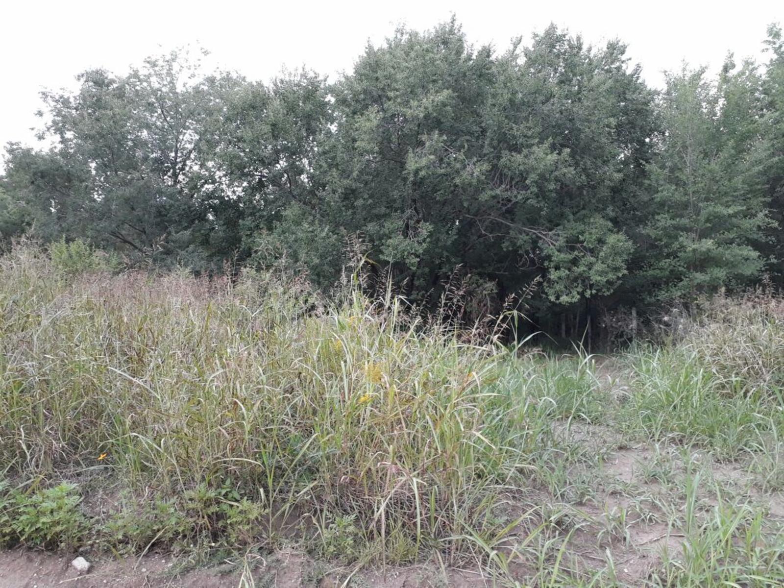 Nºref: 919 -TERRENO PLANO A 200 MTRS AROX DE R-38 BIALET MASSE PUNILLA — foto 3