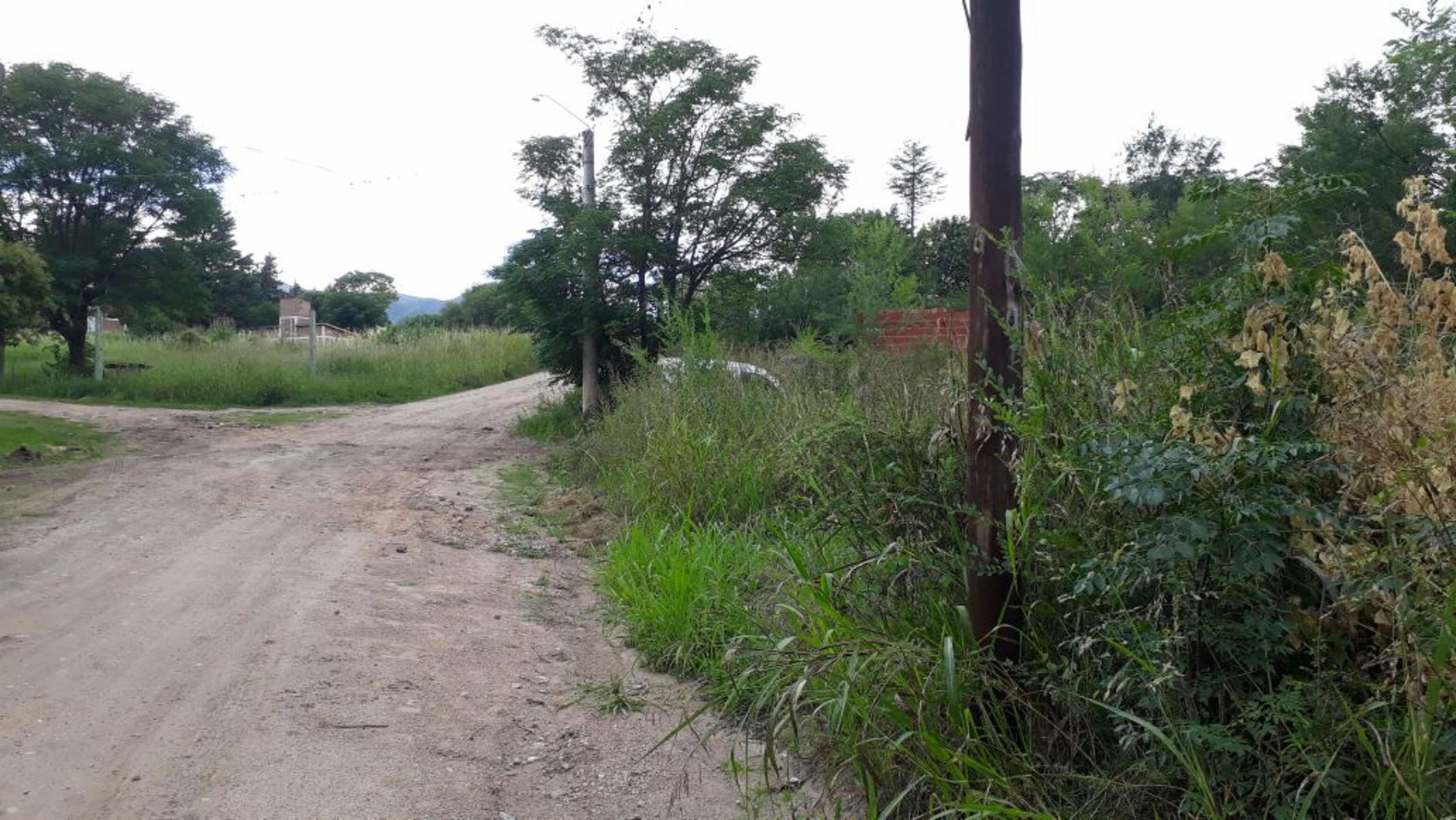 Nºref: 919 -TERRENO PLANO A 200 MTRS AROX DE R-38 BIALET MASSE PUNILLA — foto 4
