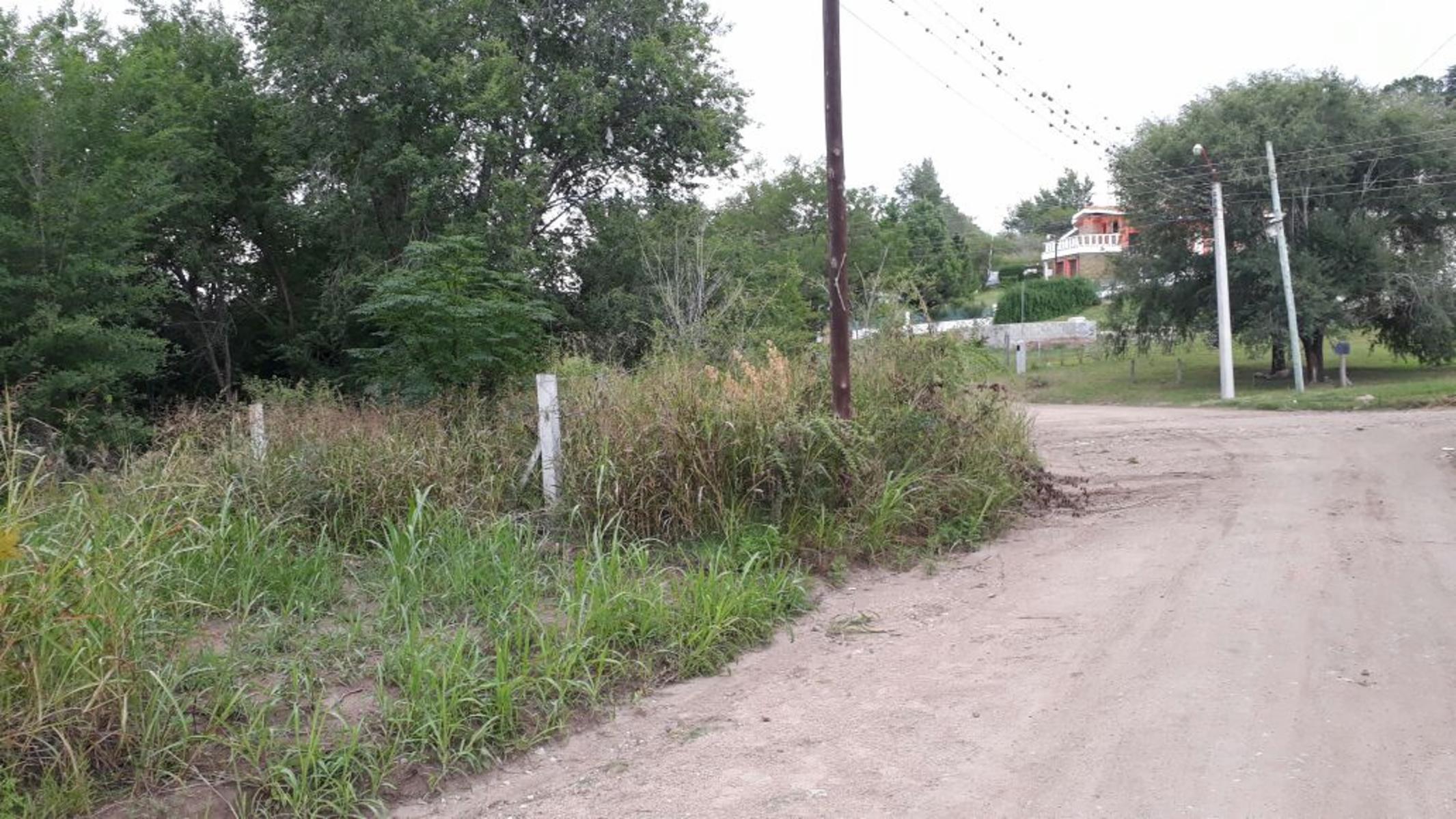 Nºref: 919 -TERRENO PLANO A 200 MTRS AROX DE R-38 BIALET MASSE PUNILLA — foto 7