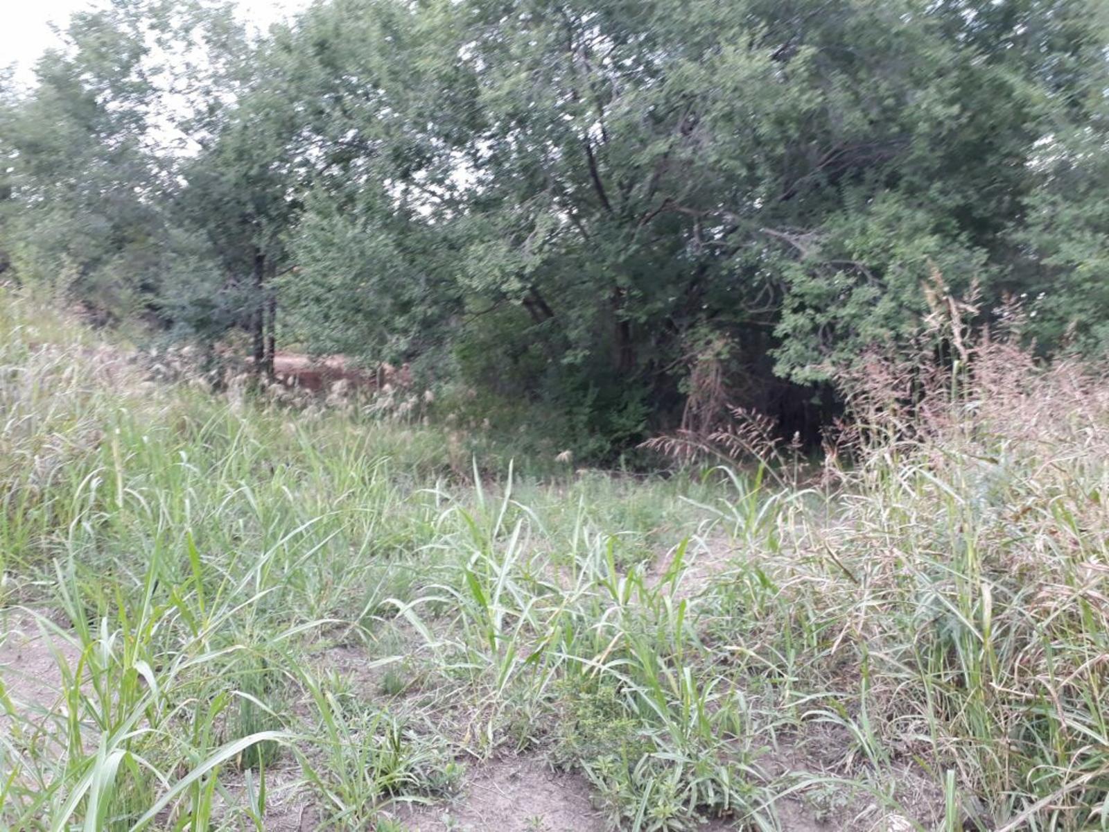 Nºref: 919 -TERRENO PLANO A 200 MTRS AROX DE R-38 BIALET MASSE PUNILLA — foto 8