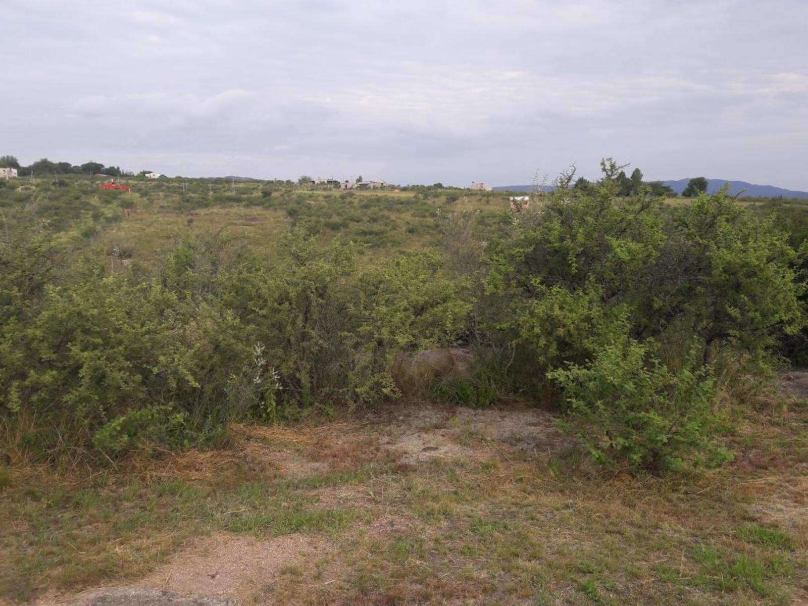 Nºref: 915 -Venta de Terreno en Bialet Masse Punilla Córdoba — foto 3