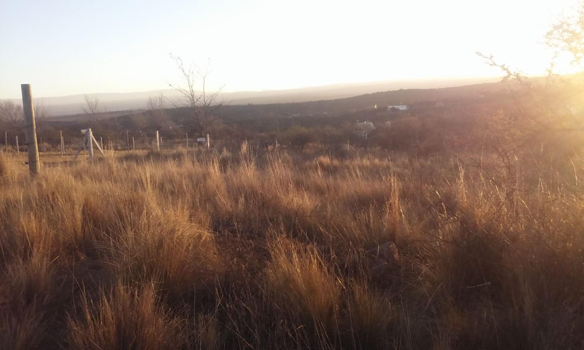 Nºref: 786 -Terreno con hermosa vista a 1000 mtrs aprox. del Increíble Rio Mallín — foto 4