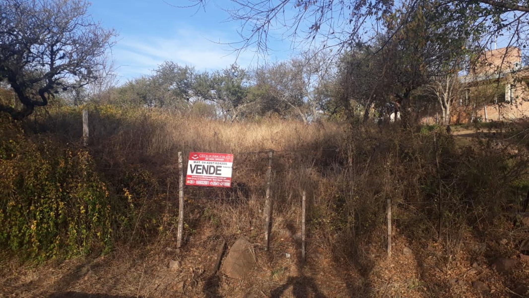 N°ref: 1165 -Hermoso lote en Siquiman con leve pendiente