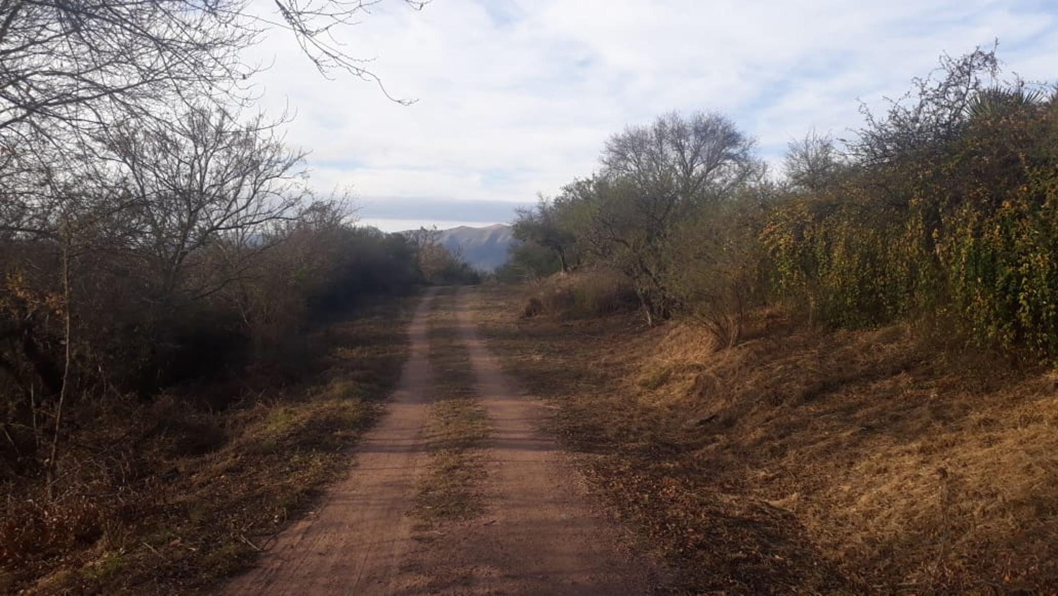 N°ref: 1165 -Hermoso lote en Siquiman con leve pendiente — foto 4