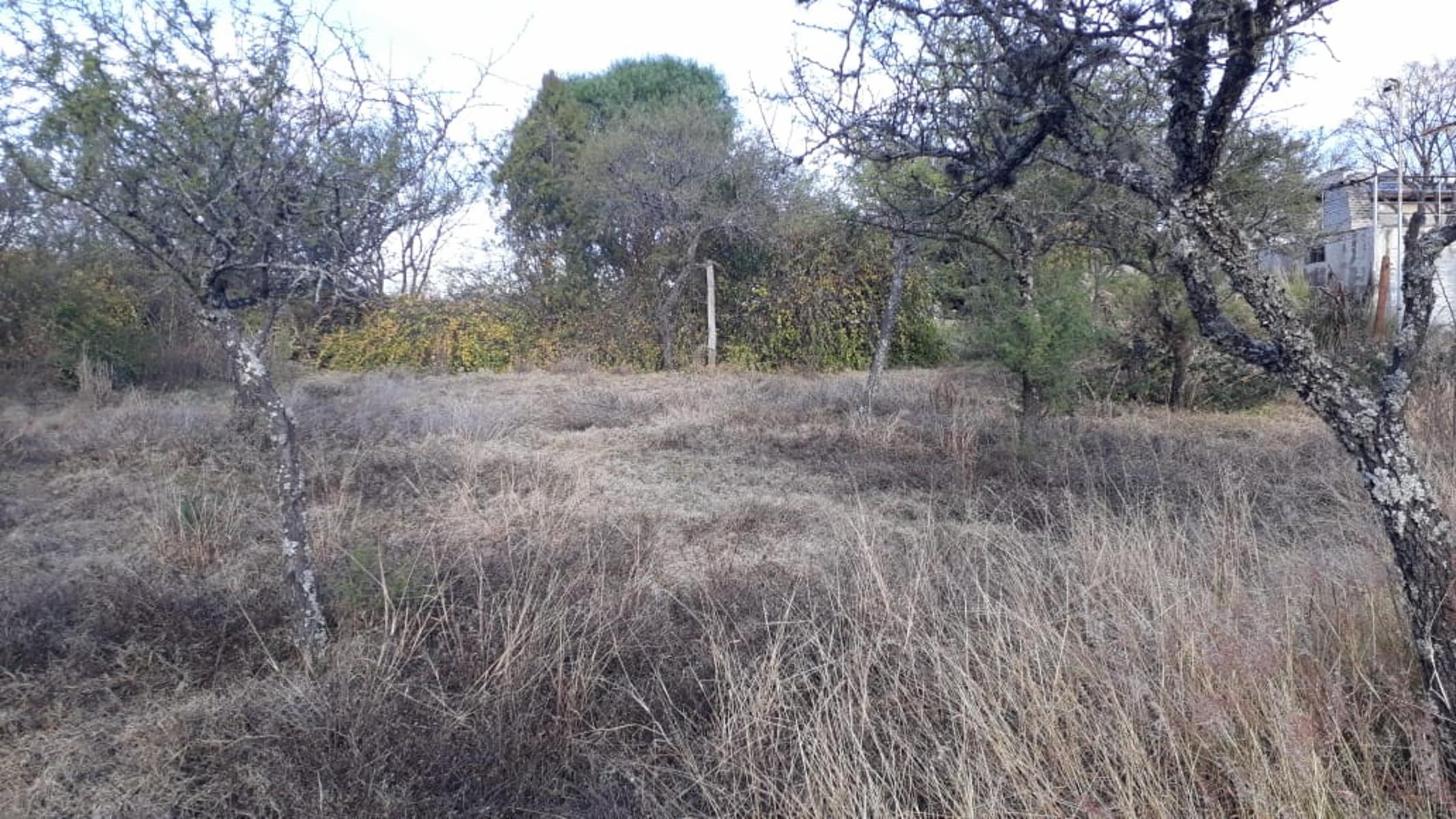 N°ref: 1165 -Hermoso lote en Siquiman con leve pendiente — foto 7