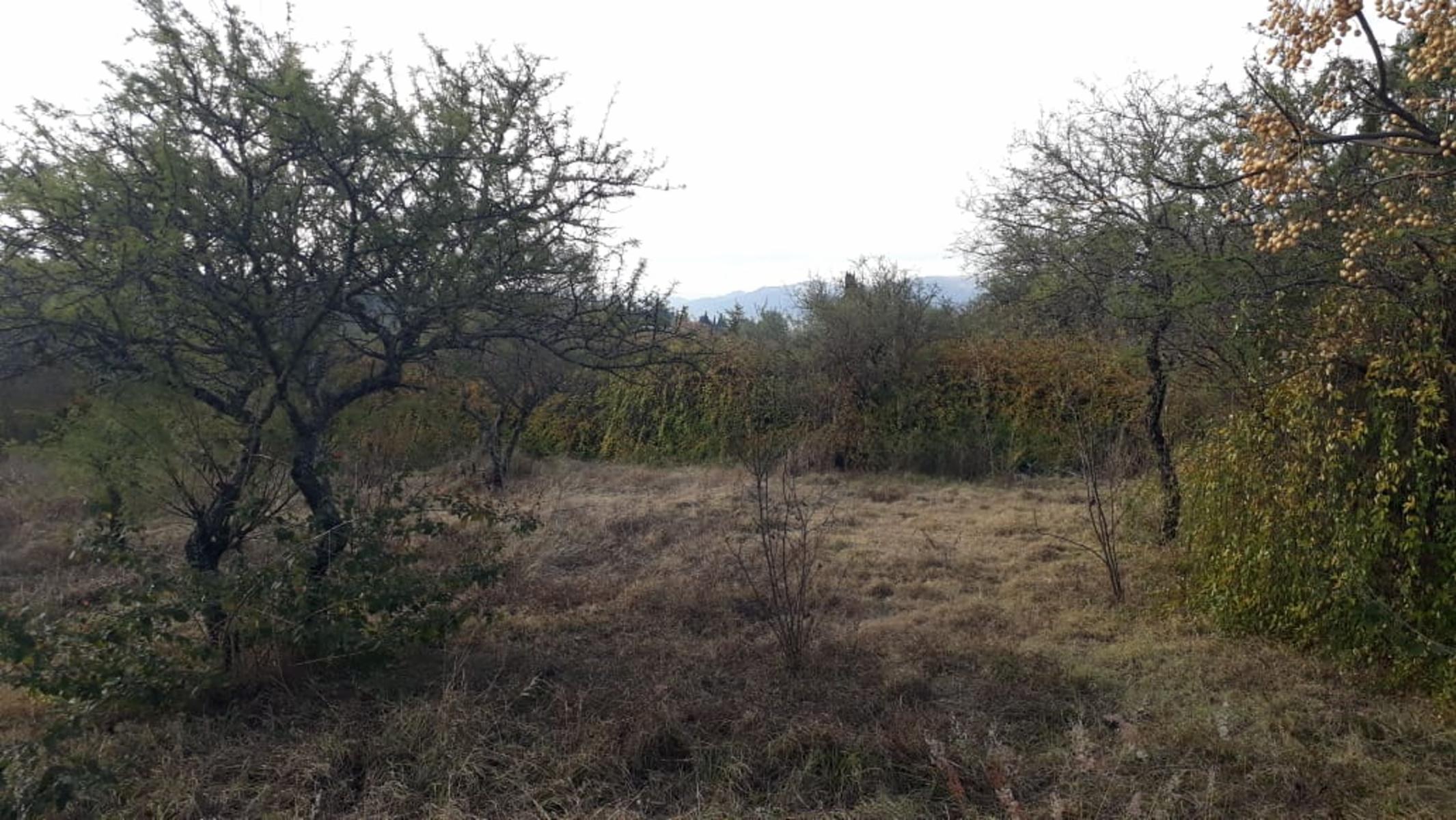 N°ref: 1165 -Hermoso lote en Siquiman con leve pendiente — foto 10