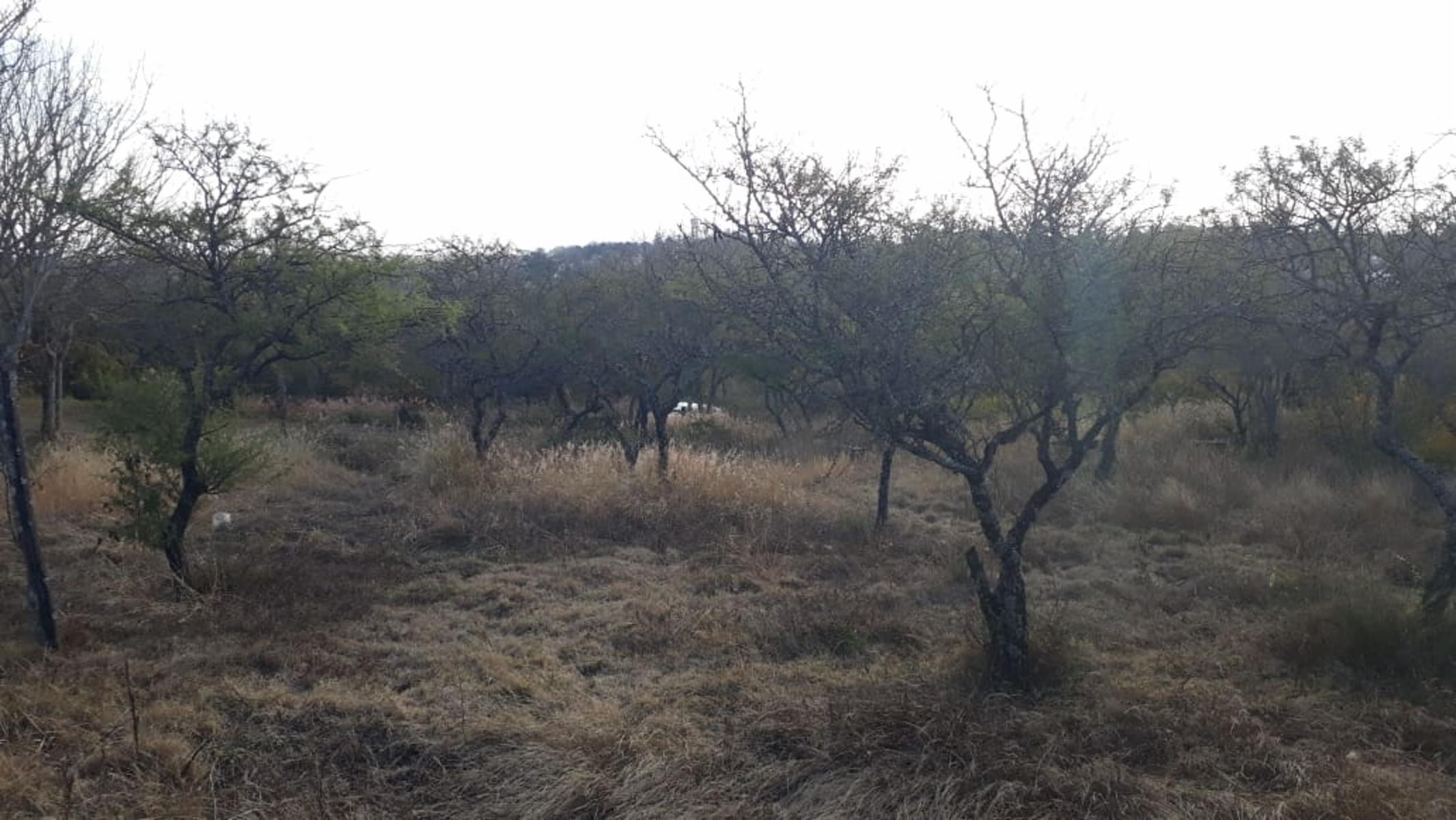 N°ref: 1165 -Hermoso lote en Siquiman con leve pendiente — foto 11