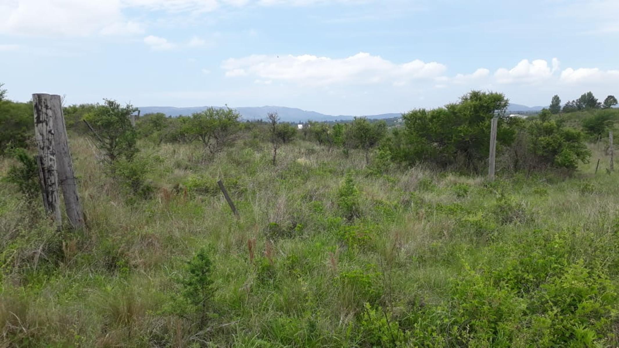 N°REF 1262-HERMOSO TERRENO PLANO EN BIALET MASSE CON VISTA A LAS SIERRAS. — foto 3