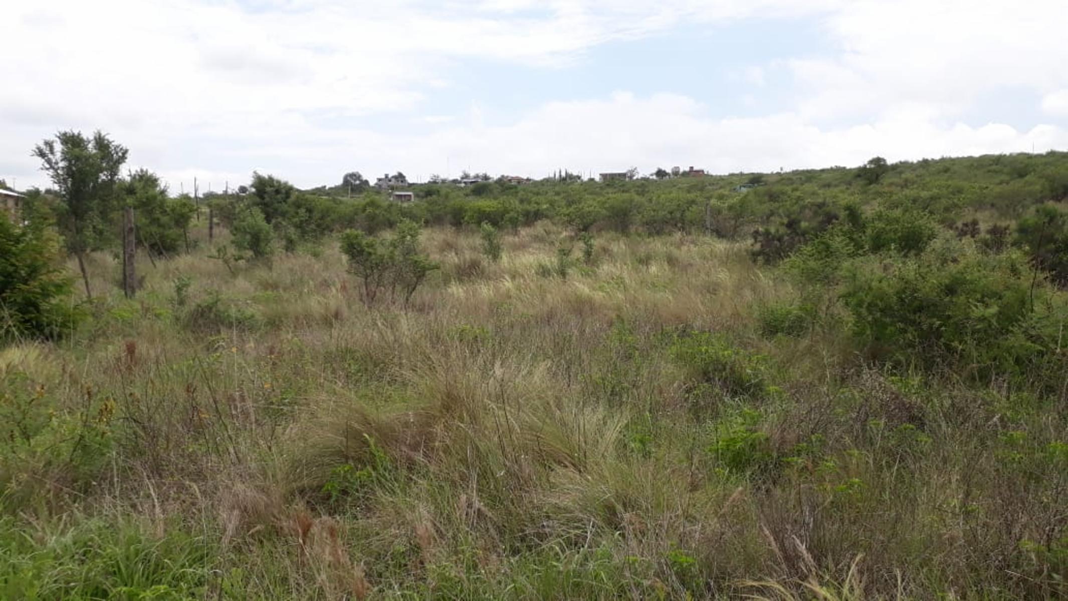 N°REF 1262-HERMOSO TERRENO PLANO EN BIALET MASSE CON VISTA A LAS SIERRAS. — foto 5