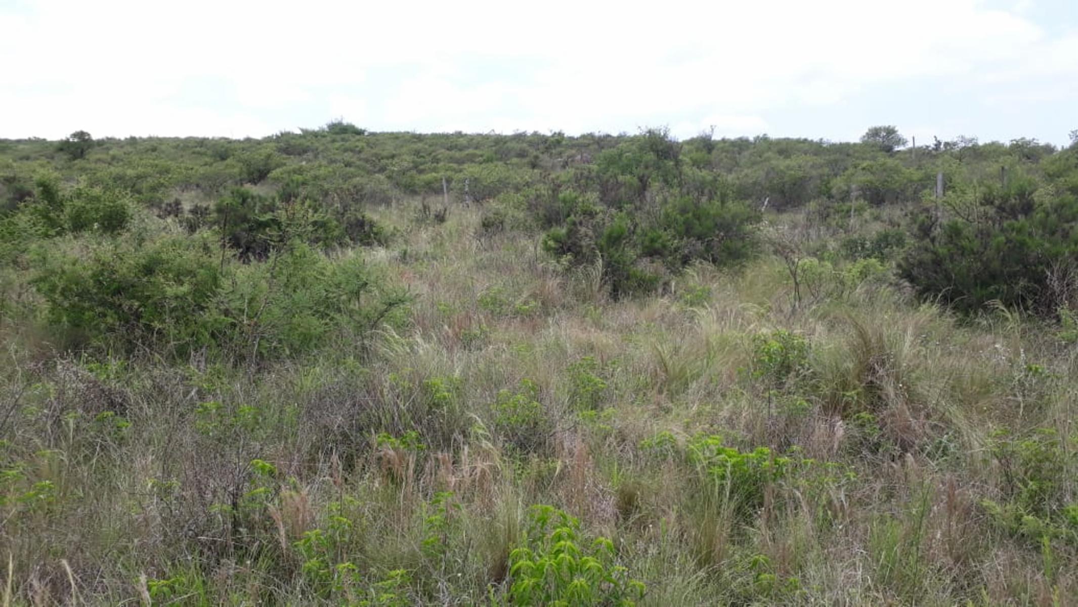 N°REF 1262-HERMOSO TERRENO PLANO EN BIALET MASSE CON VISTA A LAS SIERRAS. — foto 6