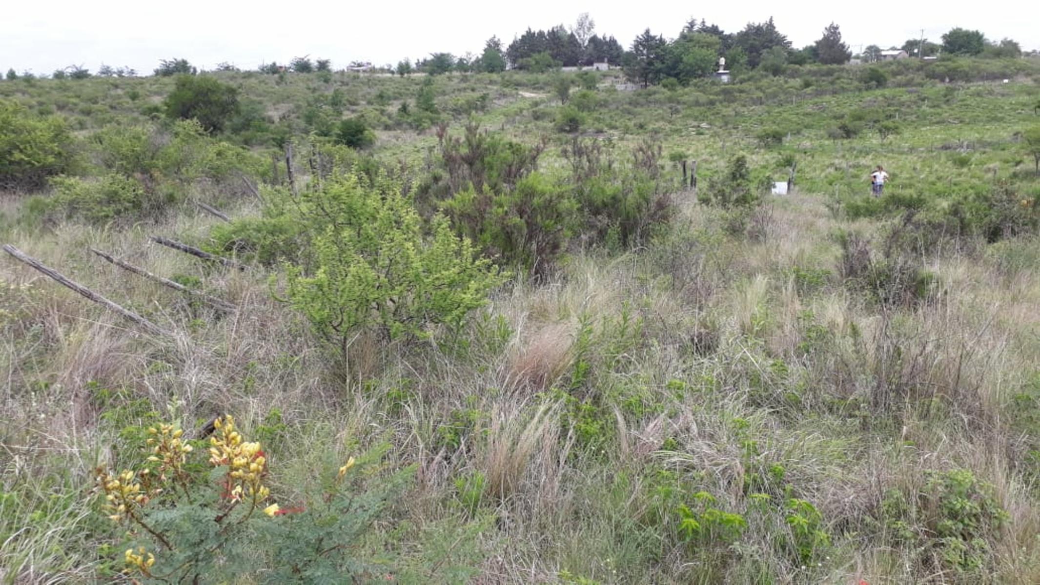 N°REF 1262-HERMOSO TERRENO PLANO EN BIALET MASSE CON VISTA A LAS SIERRAS. — foto 8