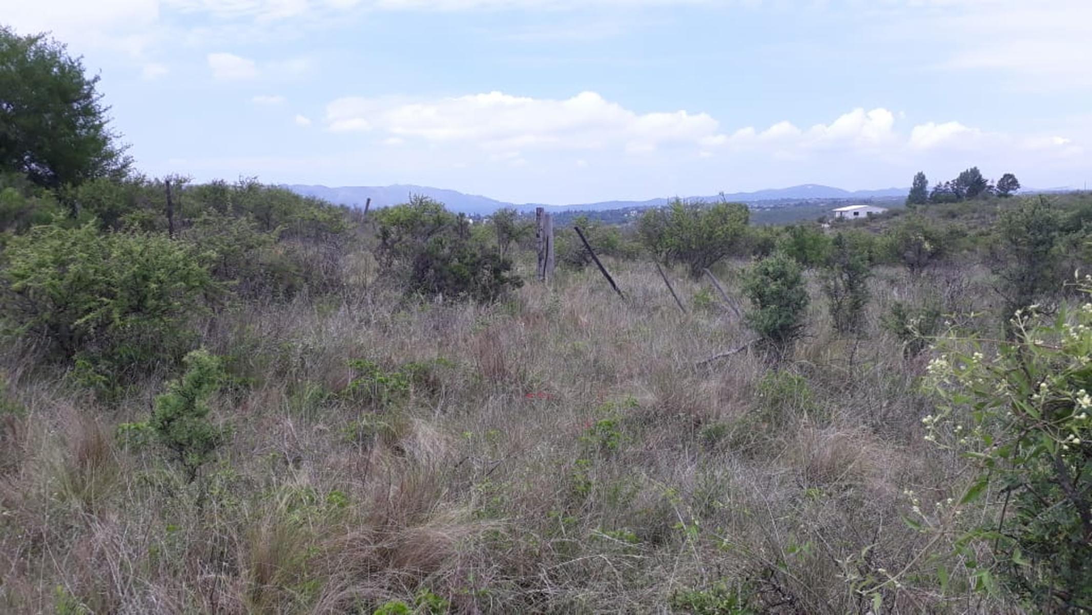 N°REF 1262-HERMOSO TERRENO PLANO EN BIALET MASSE CON VISTA A LAS SIERRAS. — foto 9
