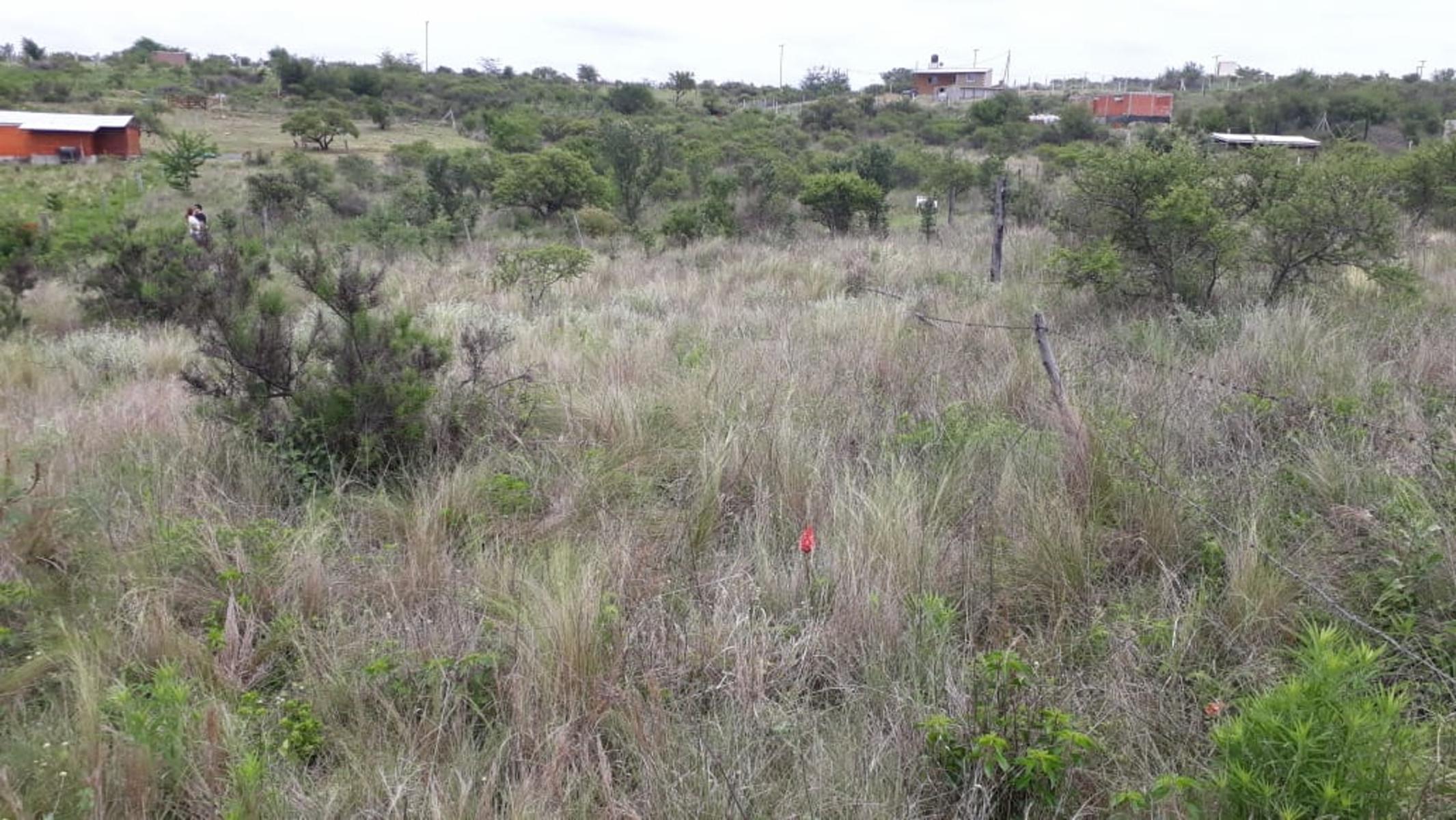 N°REF 1262-HERMOSO TERRENO PLANO EN BIALET MASSE CON VISTA A LAS SIERRAS. — foto 10