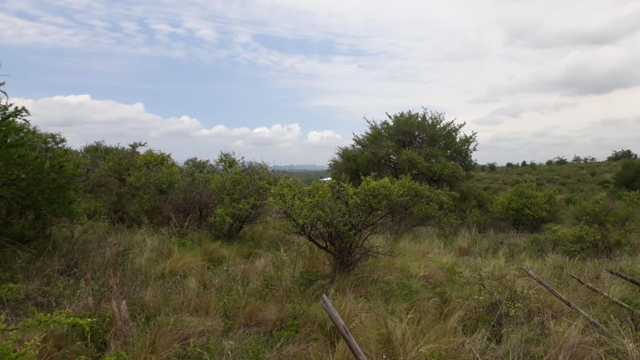 N°REF 1262-HERMOSO TERRENO PLANO EN BIALET MASSE CON VISTA A LAS SIERRAS. — foto 11
