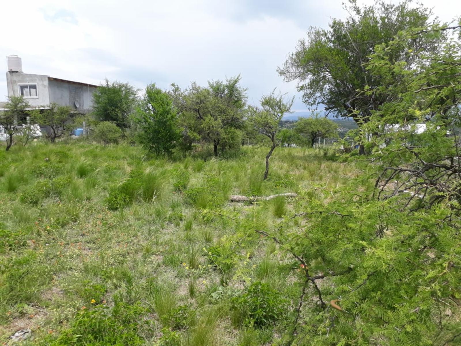 N°Ref 1256-Terreno en Bialet Masse con increíble vista a las Sierras — foto 4
