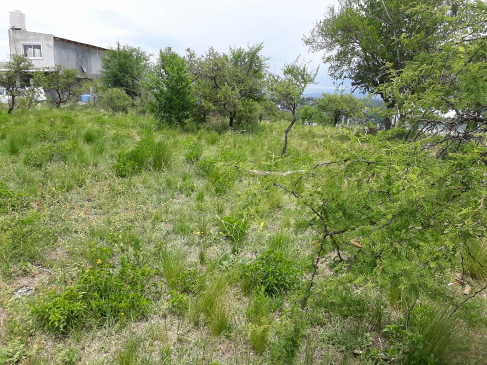 N°Ref 1256-Terreno en Bialet Masse con increíble vista a las Sierras — foto 8