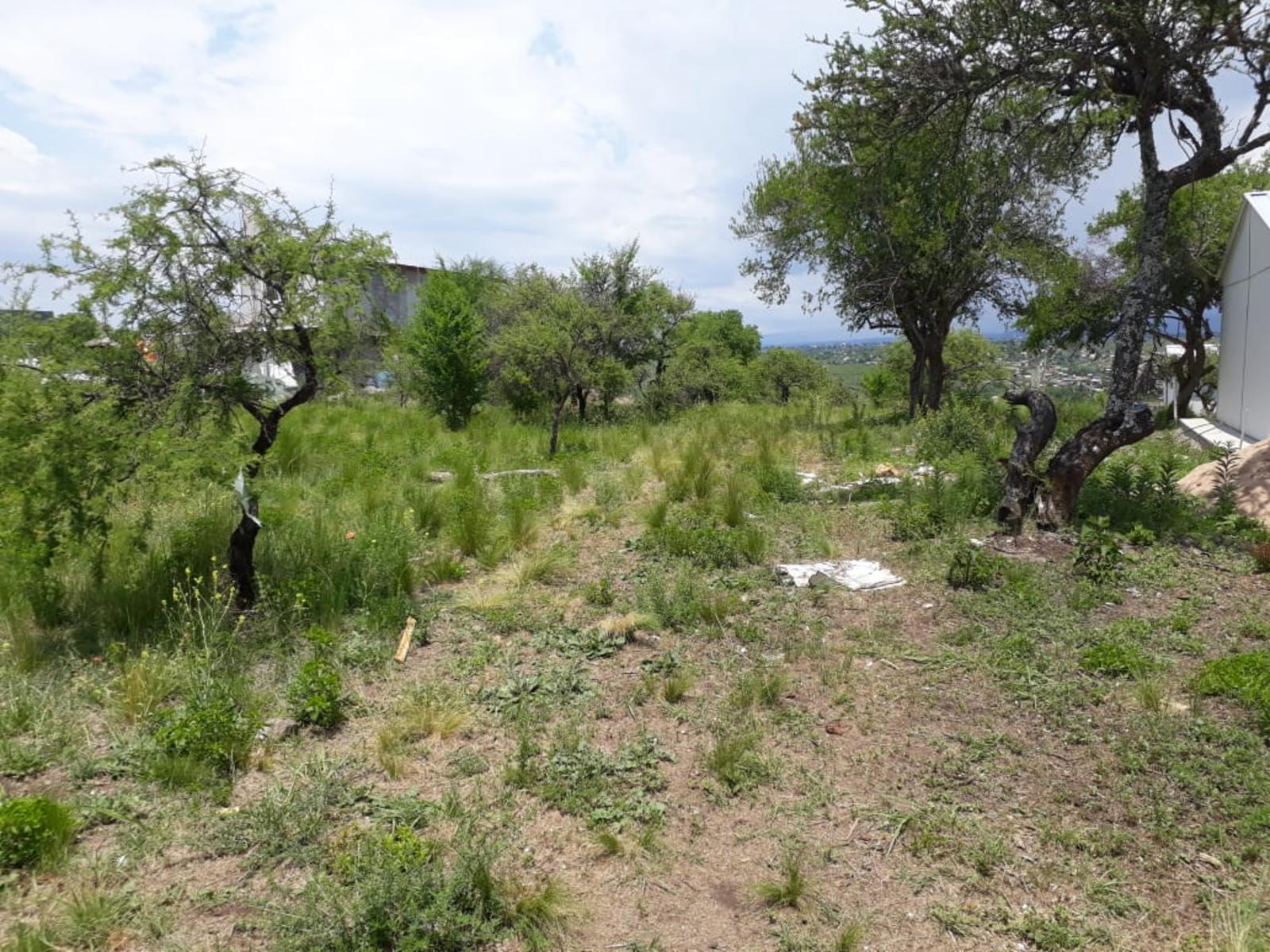 N°Ref 1256-Terreno en Bialet Masse con increíble vista a las Sierras — foto 10